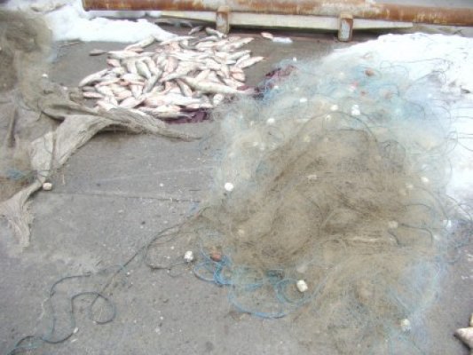 Aproximativ 90 kilograme de peşte şi 1,4 kilometri de plase confiscate de poliţişti